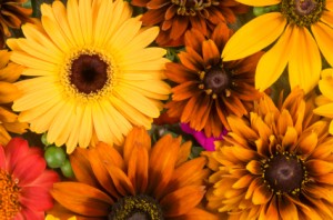Elaine's will capture the fall spirit for your home floral decor.