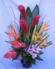 Tropical Flower Arrangements