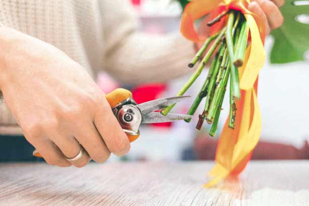 Cutting ends of flowers