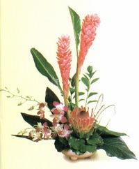 Tahitian Treat Bouquet