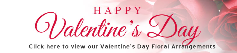 Valentine's Day graphic