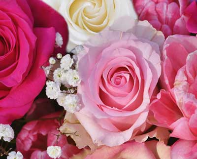 Designer's Choice Flower Arrangements