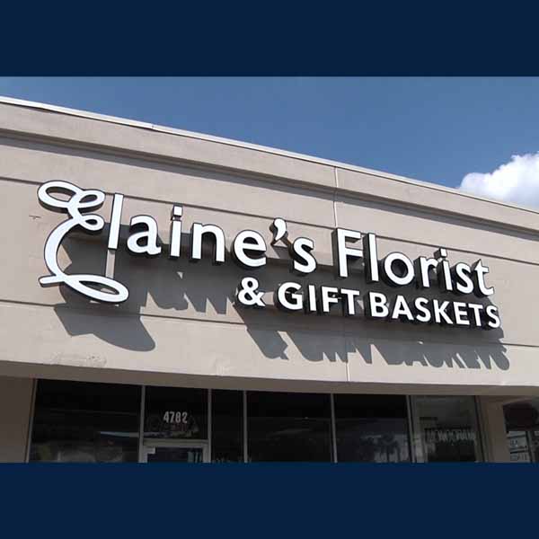 Luxe Living Gift Basket - Elaine's Florist & Gift Baskets